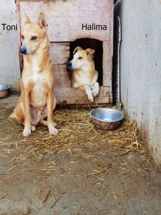 Toni, etwas schüchtern, liebevoll