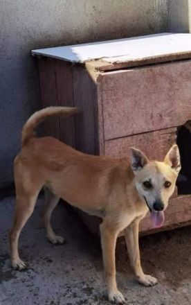 Toni, etwas schüchtern, liebevoll