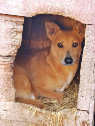 Toni, etwas schüchtern, liebevoll