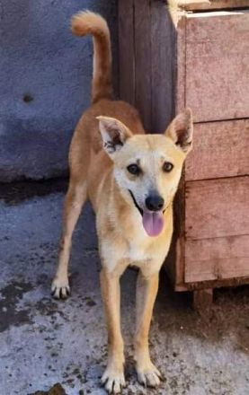 Toni, etwas schüchtern, liebevoll