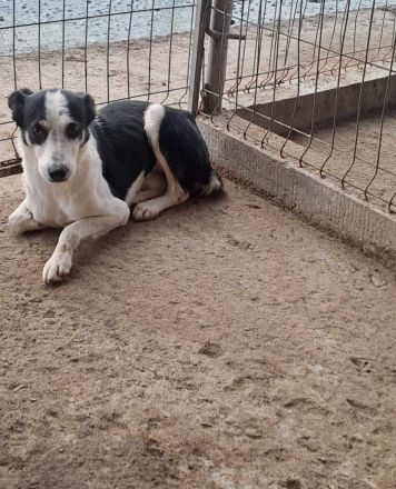 Sam, ängstlich und unsicher