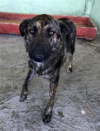 Inge, freundlich und sozial