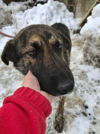 Inge, freundlich und sozial