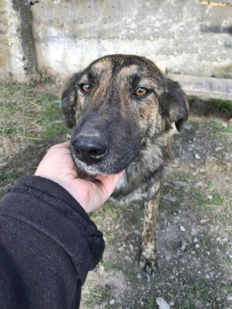 Inge, freundlich und sozial