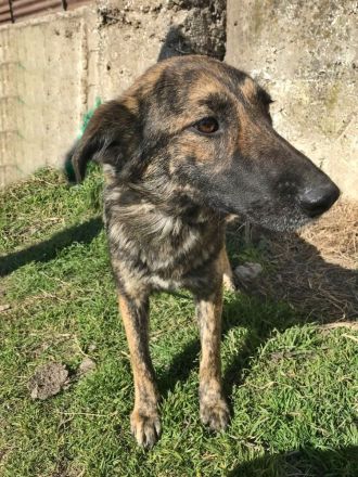 Inge, freundlich und sozial