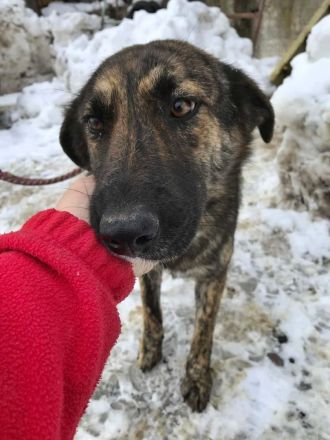 Inge, freundlich und sozial