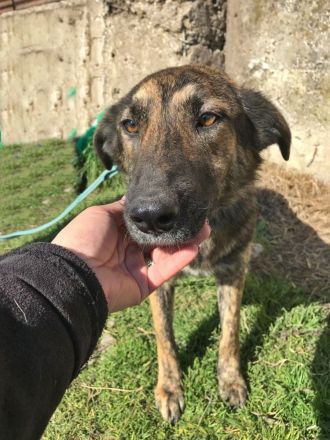 Inge, freundlich und sozial