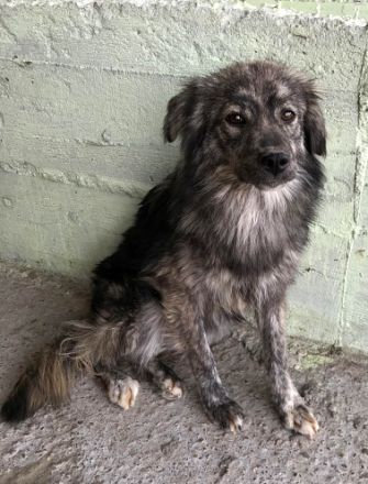 Malea, ängstlich, braucht Zeit