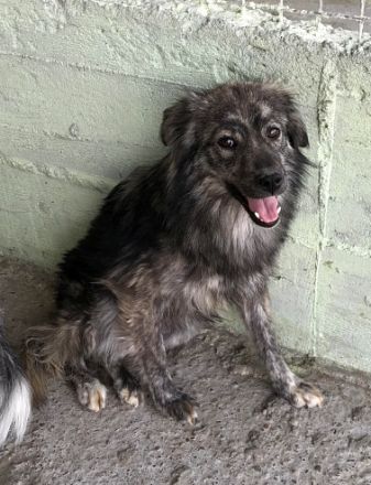 Malea, ängstlich, braucht Zeit