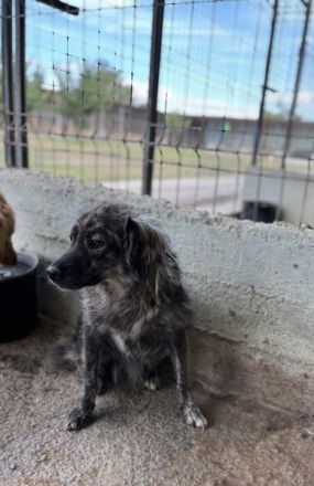 Malea, ängstlich, braucht Zeit