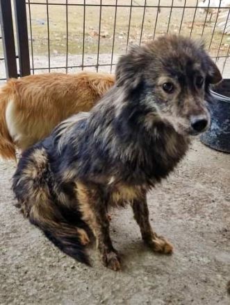 Malea, ängstlich, braucht Zeit