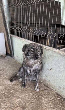 Malea, ängstlich, braucht Zeit