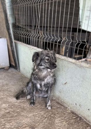 Malea, ängstlich, braucht Zeit