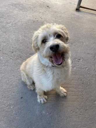 Santa liebt Menschen