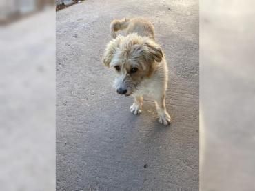 Santa liebt Menschen