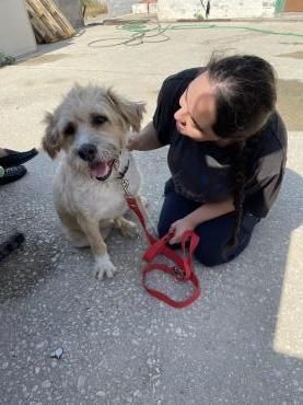 Santa liebt Menschen