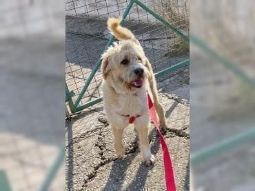 Santa liebt Menschen