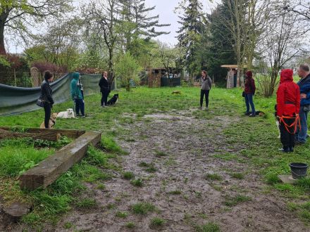 Versteh' Deinen Hund 2.0