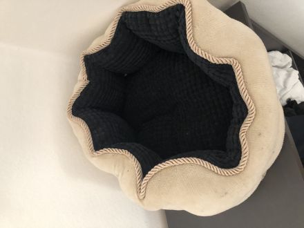 Zwei Maine Coon Mix Kater, 7 Monate, Preis für beide Tiere + Zubehör