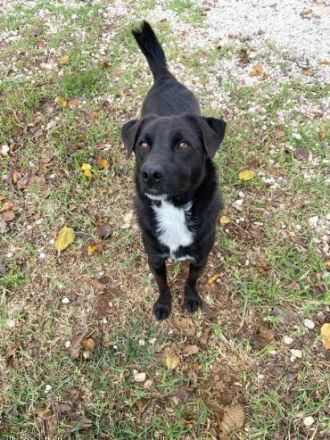 Jerry will ins neue Leben!