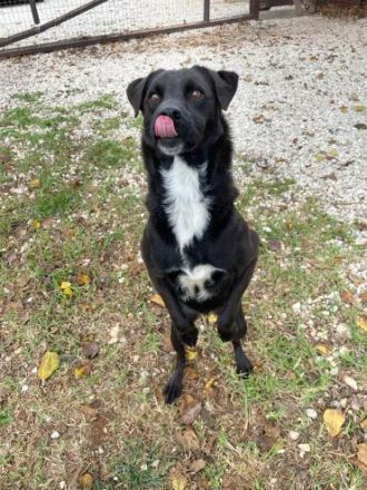 Jerry will ins neue Leben!