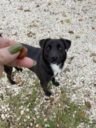 Jerry will ins neue Leben!