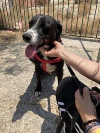 Sylvia möchte in ihr Zuhause