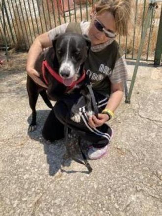 Sylvia möchte in ihr Zuhause