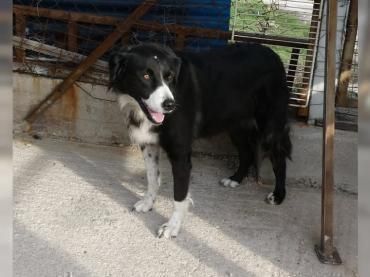 Nelli liebt kuscheln über alles