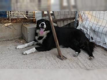 Nelli liebt kuscheln über alles