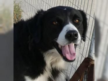 Nelli liebt kuscheln über alles