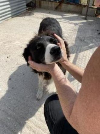 Nelli liebt kuscheln über alles