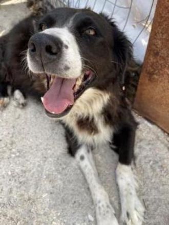 Nelli liebt kuscheln über alles