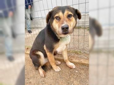 Boubou liegt uns sehr am Herzen