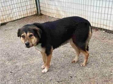 Boubou liegt uns sehr am Herzen