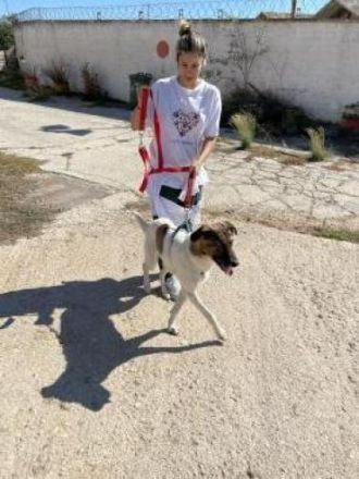 LOUSY - ein süßes Fellbündel