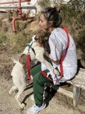 LOUSY - ein süßes Fellbündel