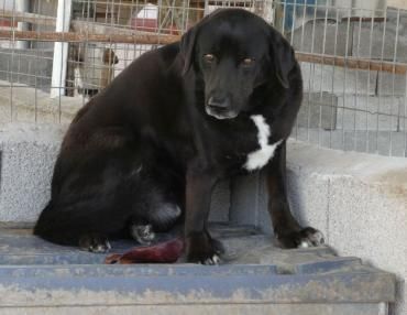 Jason - eher ängstlich