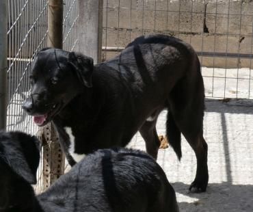 Jason - eher ängstlich