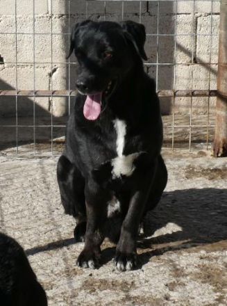 Jason - eher ängstlich