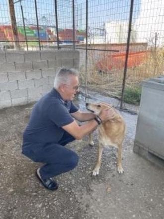 Lousy - lebenslustig