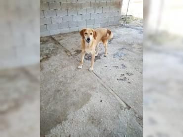 Lousy - lebenslustig