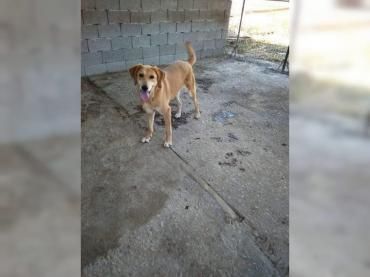 Lousy - lebenslustig