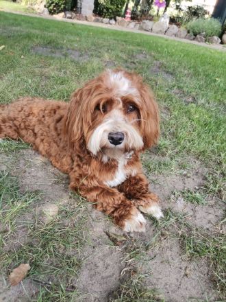 From the sunny side of life