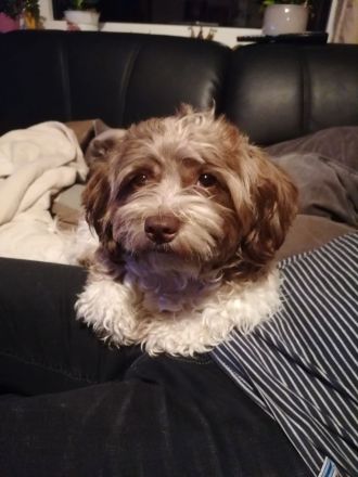 From the sunny side of life