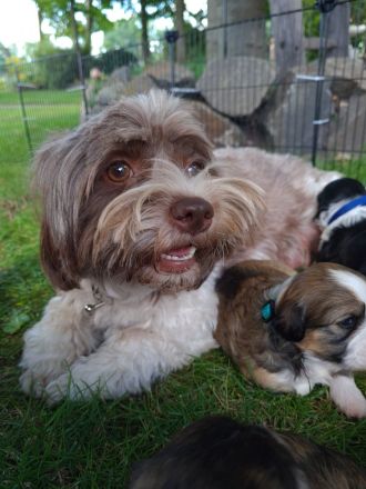 From the sunny side of life