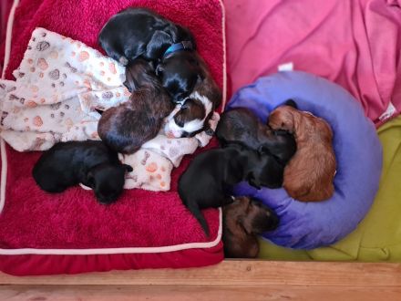 From the sunny side of life