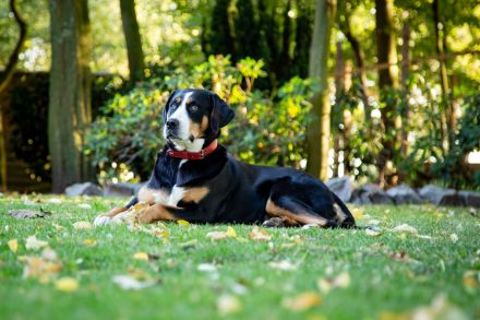 From the sunny side of life