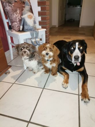 From the sunny side of life