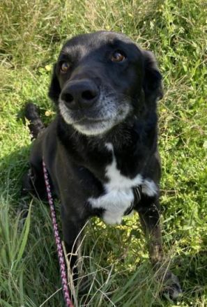 Unser freundlicher Rudi